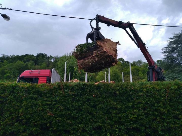 Aménagement et création de jardins à Pontoise