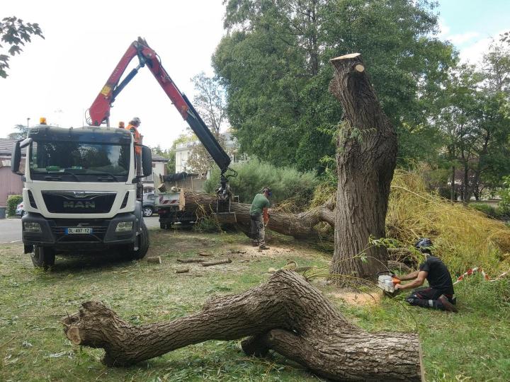 Spécialistes de l’entretien de jardin à Pontoise