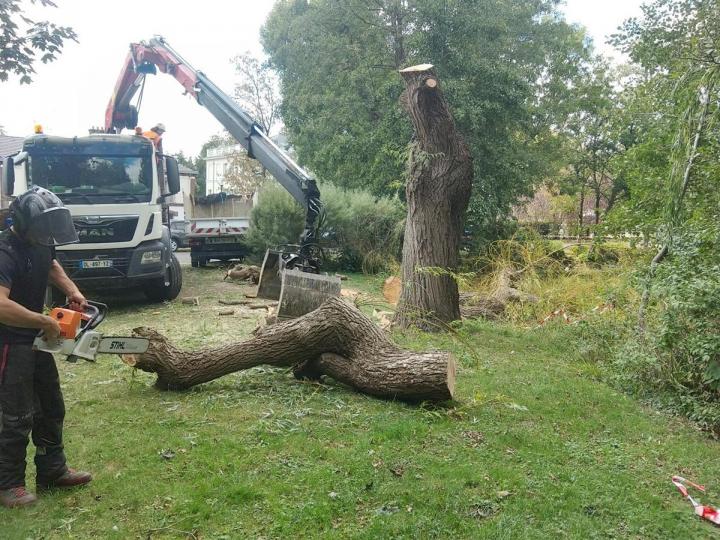 Entretien jardin Pontoise