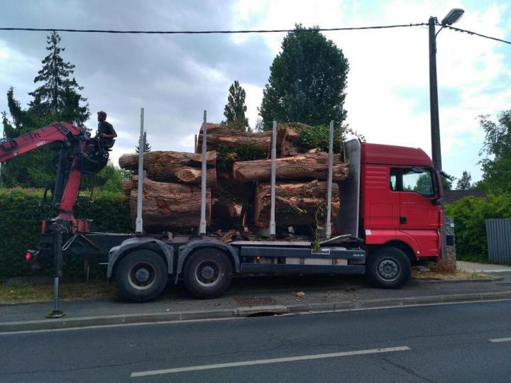 Des jardiniers-paysagistes qualifiés à Pontoise 