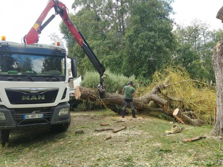Jardinier paysagiste Pontoise