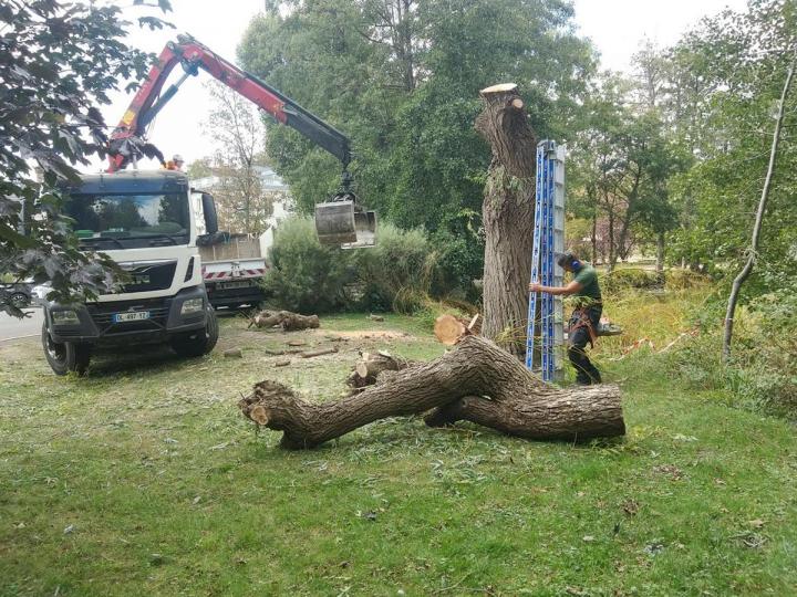 Des jardiniers-paysagistes qualifiés à Pontoise 
